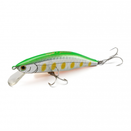 500A0025.jpg